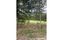 State Highway 103 Lot 2, Slocomb, AL 36375