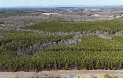 0-51 acres Mountain Cut Road, Appomattox, VA 24522