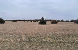 Lot 29 Jon Court, Oacoma, SD 57365