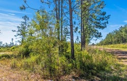 2 Pilgrim Rest Road, DeQuincy, LA 70633