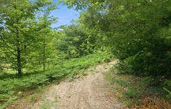 3982 SE Mitchell Road, Kalkaska, MI 49646