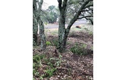 Lot 11 Crown Ln, Burnet, TX 78611