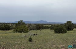 22 RUNNING BEAR Cir, Quemado, NM 87829