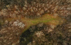 State Route 79, RIDGELY, TN 38080
