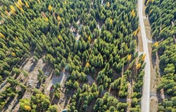 572 Brookie Way, Libby, MT 59923
