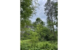 BURNT PINE Road, LAKEWOOD, WI 54138
