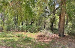 ASHLEY LAKE Drive, Melrose, FL 32666