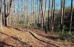 Lot 82 Mcintosh Drive, Lowgap, NC 27024