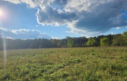 TBD Lynda Ln, Oden, AR 71961-9999