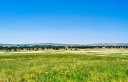 Tbd Lofty Ridge Lane, Moorcroft, WY 82721
