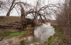 Tbd50 Dunaway Road, Waxahachie, TX 75167
