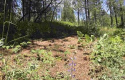 Card Creek, Casey Estates#3 lot: 2, Garden Valley, ID 83622