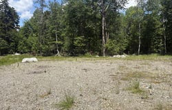 High Point Drive lot: 23, Penobscot, ME 04476