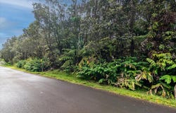 7TH ST, Volcano, HI 96785