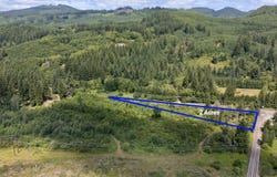 Lewis River Rd, Ariel, WA 98603