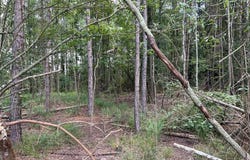 Tbd River Road North, Summit, MS 39666