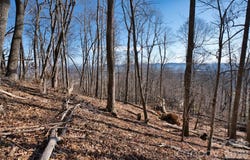 9999 Walnut Drive, Mills River, NC 28759