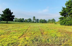 2088 FM 1251, Outside Area (Outside Ca), TX 75631