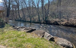 Lot # 7 50 Timber Leaf Trail, Sylva, NC 28779