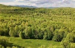 Rabbit Run, Fayston, VT 05673