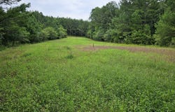County Road 30, Tract 15, Brilliant, AL 35548