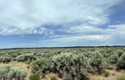 Millican Road, Christmas Valley, OR 97641