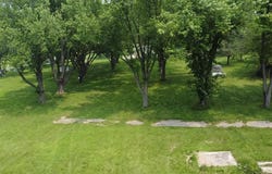 11.2 Ac County Road A, Cambridge, WI 53523