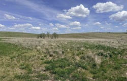 264 Trenton Lane, Box Elder, SD 57719