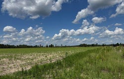 0 Melton Chapel Rd, Baxley, GA 31513