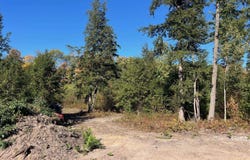 8910 Hemlock Hill Drive, Traverse City, MI 49685