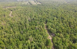 N/A Red Bud Rd, Sturkie, AR 72578