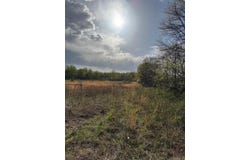 Piggott, AR 72454