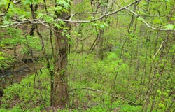Lot27 Oak Ridge Way, Ellijay, GA 30536