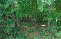 00 Epps Fork Road, Clarksville, VA 23927