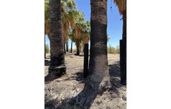 51 W 4th St, Niland, CA 92257