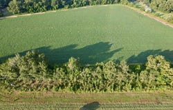 Highway 84, Daleville, AL 36322