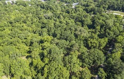 0 Athens Road, Mendenhall, MS 39114