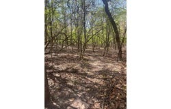 .55 Acres, Peaceful Acres II, Eufaula, OK 74432