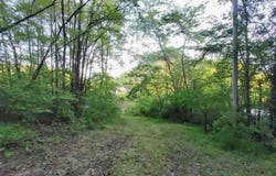 217 Coal Chute Road, Elizabethton, TN 37643