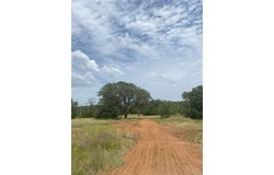 59 Shelby Ranch Drive, Santo, TX 76484