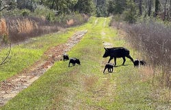 Tbd East Hwy 59, Marshall, TX 75672