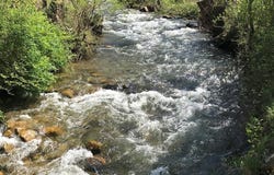 100 Lazy Bear Trail, Andrews, NC 28901