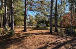 131 Marks Walden Rd, Blythe, GA 30805