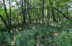 L9 State Route 162, Esperance, NY 12066