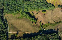 Frank McKelvey Rd, PALMERSVILLE, TN 38241