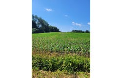 36th Ave, Paw Paw, MI 49079