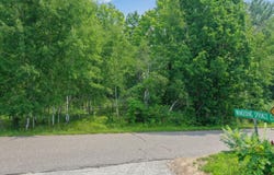 16180 THELEN Road, MOUNTAIN, WI 54149-9756