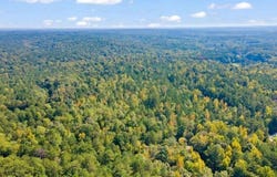 0 Steed Road, Chattahoochee Hills, GA 30213
