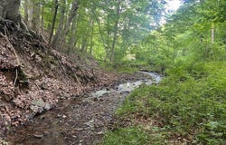 4300 Mechanicsburg Rd, Wooster, OH 44691
