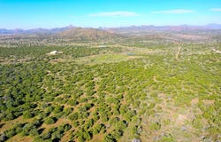 Alpine, TX 79830